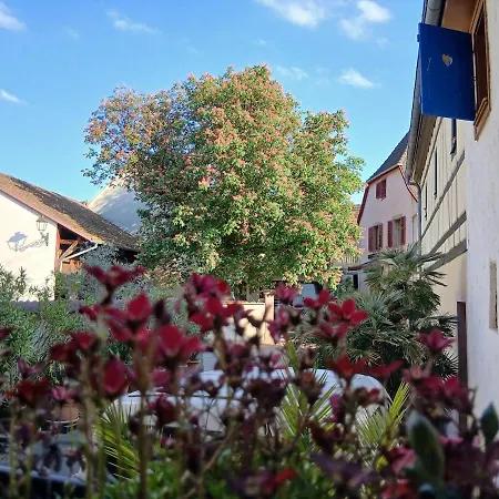 Apartmán Spacieux Gite, Les Petits Bouchons, Entre Eguisheim Et Colmar, Au Coeur Du Vignoble Wettolsheim